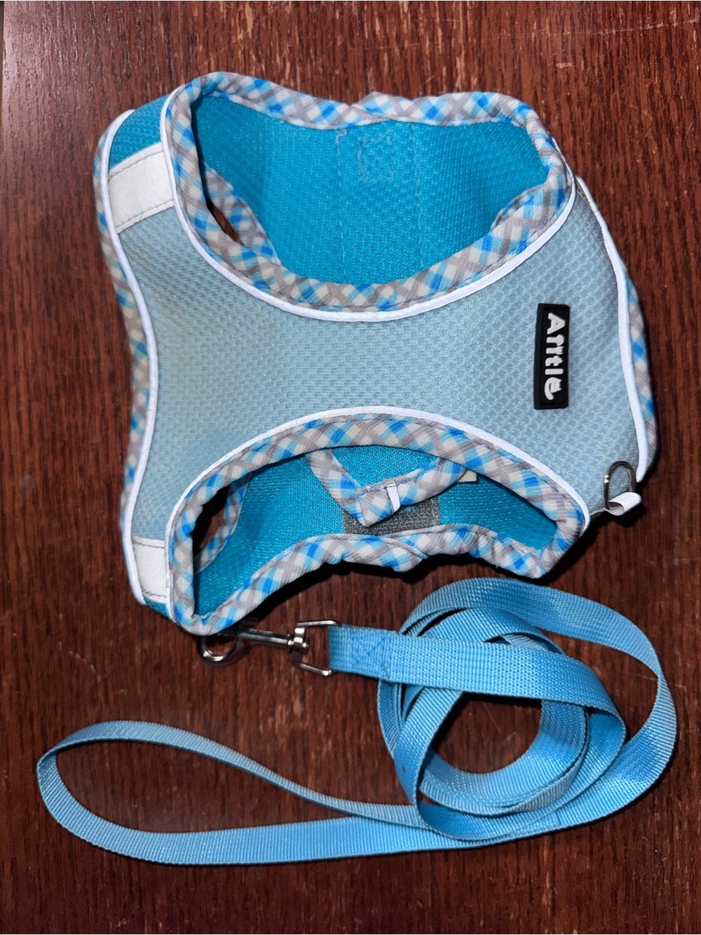 Light Blue Mesh Dog Harness with Leash